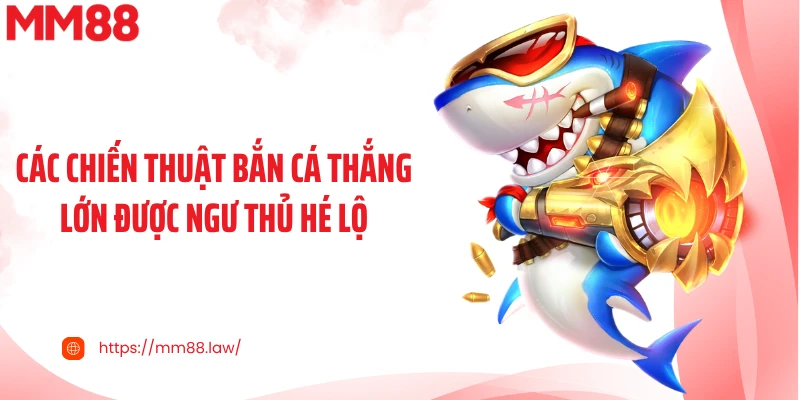 Các chiến thuật bắn cá thắng lớn được ngư thủ hé lộ