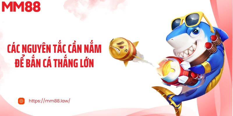 Các nguyên tắc cần nắm để bắn cá thắng lớn
