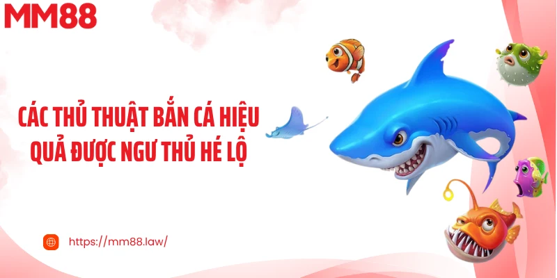Các thủ thuật bắn cá hiệu quả được ngư thủ hé lộ