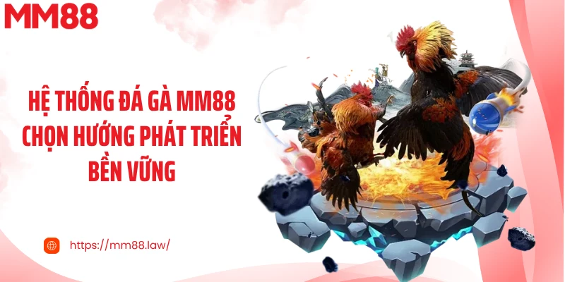 Hệ thống đá gà MM88 chọn hướng phát triển bền vững
