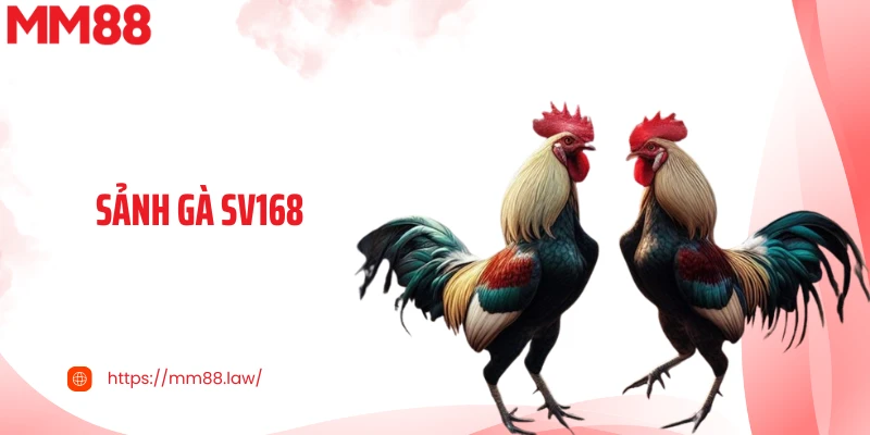 Sảnh Gà sv168