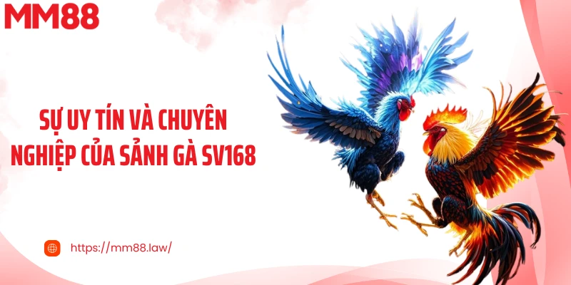 Sự uy tín và chuyên nghiệp của sảnh gà SV168